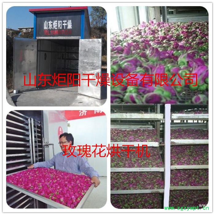 Jy-300菊花烘干机 烘干设备  玫瑰花等 各种药材图6