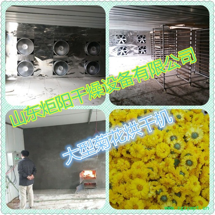 Jy-300菊花烘干机 烘干设备  玫瑰花等 各种药材图7