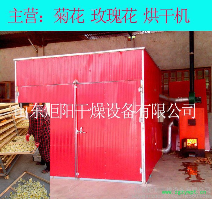 Jy-300菊花烘干机 烘干设备  玫瑰花等 各种药材图5