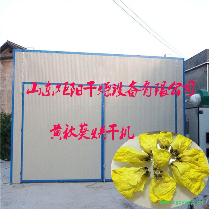 Jy-300菊花烘干机 烘干设备  玫瑰花等 各种药材图2