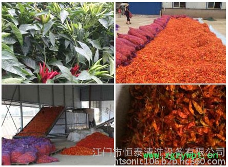 供应辣椒干燥设备，食材烘干机图3