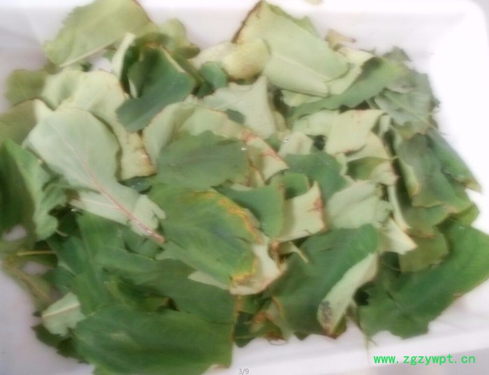 立威HY-MF3016 药物杀菌 中药材干燥图2