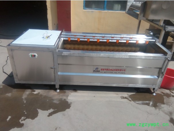 鹏启气泡清洗机 当归清洗机 药材清洗设备 气泡翻浪清洗机 中草药清洗设备 **图2