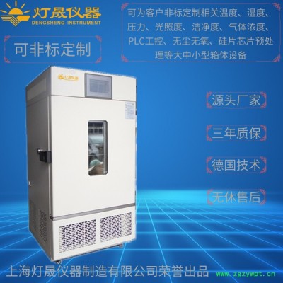 综合药品稳定性试验箱LHH-150GSP  上海厂家现货直销 非标定制定制 药品稳定性试验箱 综合设备