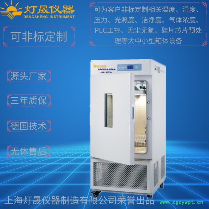 综合药品稳定性试验箱LHH-150GSD  上海厂家现货直销 非标定制定制 药品稳定性试验箱 综合设备图5
