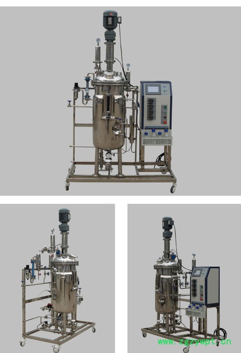 博医康FC系列 生物发酵罐（制药、生物工程、食品专用）图8