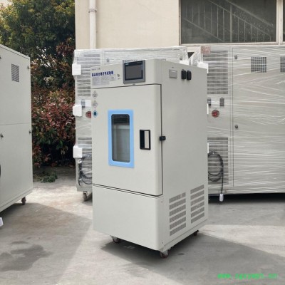 侦翔 ZSW系列 综合药品稳定性试验箱 型号齐全可以按需求定制 霉菌试验箱  环境试验箱 欢迎来电咨询
