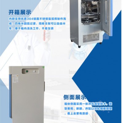 BOD生化培养箱  细菌培养箱容积100L  150L  250L