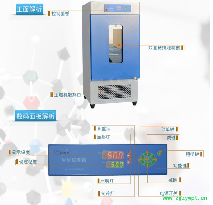 BOD生化培养箱 细菌培养箱容积100L 150L 250L图2