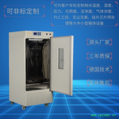 实验室设备LRH-250 生化培养箱 可非标定制智能生化培养箱 霉菌培养箱 大型生化/霉菌培养箱 上海厂家