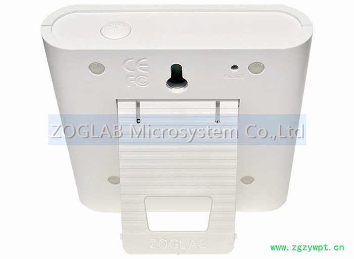 ZOGLAB佐格DSR-TT 双温度记录仪图3