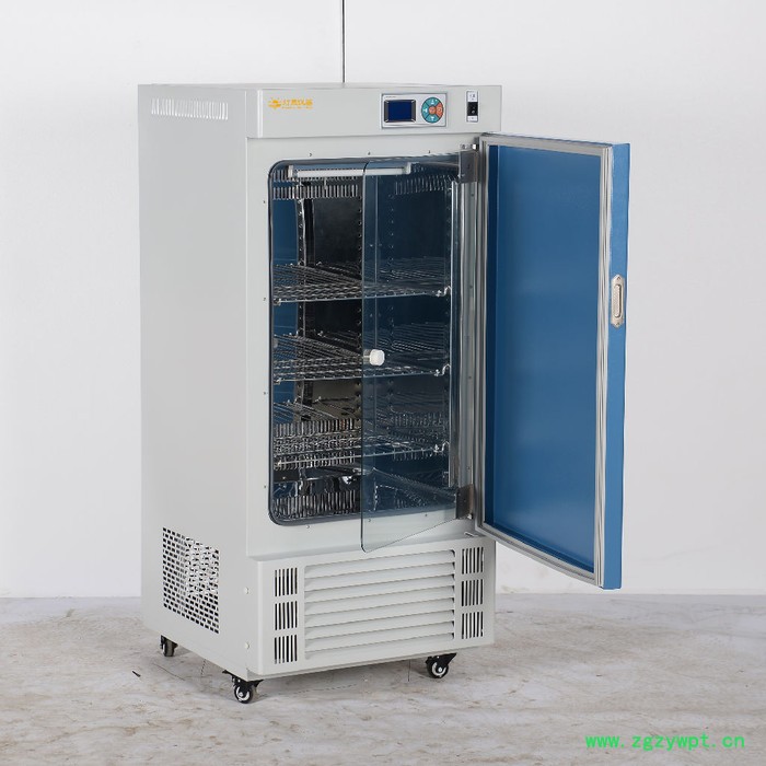 生化培养箱LRH-150P 上海厂家现货直销 非标定制定做 控温培养箱 生化柜图2