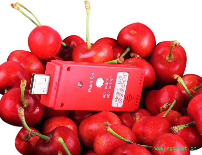 U盘一次性温度记录仪 D99/50/25 冷库温度自动记录仪