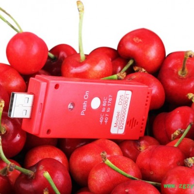 U盘一次性温度记录仪 D99/50/25 冷库温度自动记录仪