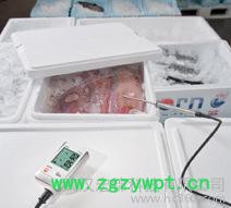 testo 175-T2电子温度记录仪，2通道，带内置温度传