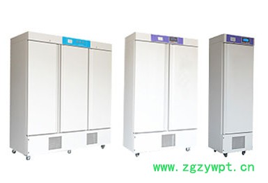 菲跃MJX-350F 霉菌培养箱霉菌培养箱生化培养箱霉菌培养箱图3