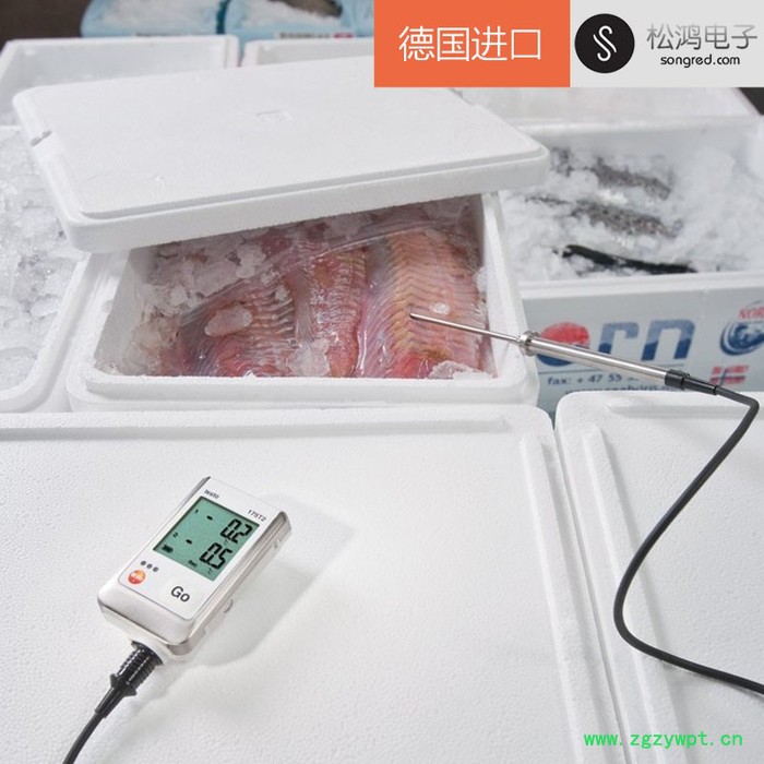 testo 175 T2 - 温度记录仪图2