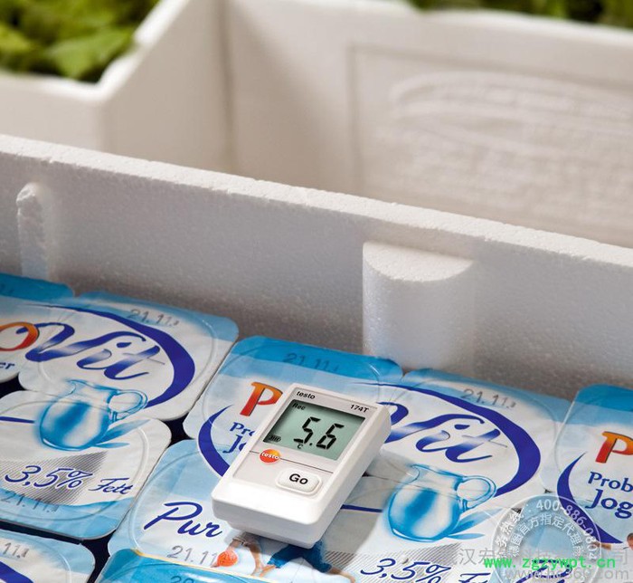 德图testo迷你电子温度记录仪 testo 174T 湖北