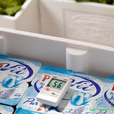 德图testo迷你电子温度记录仪 testo 174T 湖北