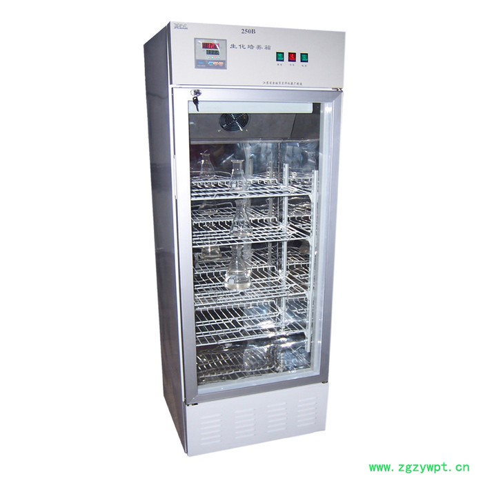 宏华SPX-250B生化培养箱图2