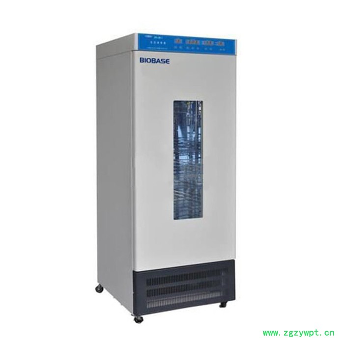 生化培养箱微生物恒温霉菌细菌恒温培养箱博科SPX-300图3