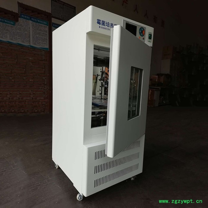 藤川机电科技  霉菌培养箱   恒温霉菌培养箱 生化培养箱 药品冷藏柜 恒温恒湿实验箱图4