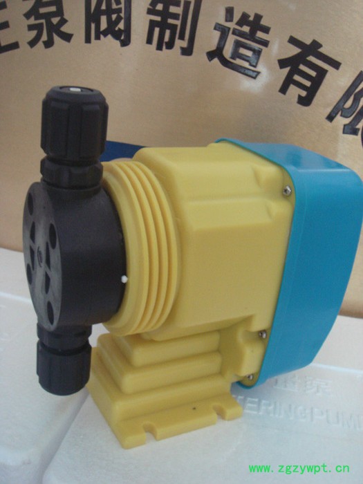 供应LGZ系列电磁隔膜计量泵、PVC计量泵、PVC加药计量泵、微型加药泵、微型计量泵、加药装置图2