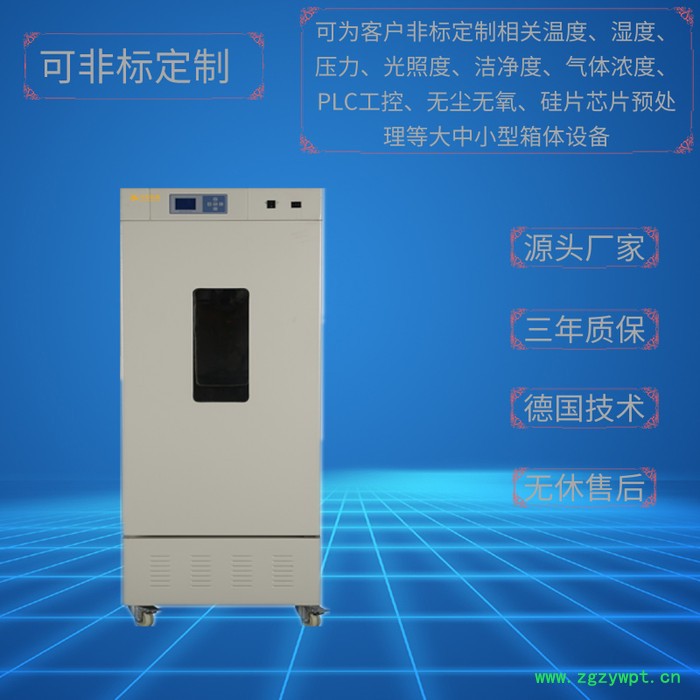 生化培养箱LRH-250P智能程序控温 实验室设备上海厂家 可定做定制精密恒温霉菌培养箱 特规细胞细菌培养箱图3