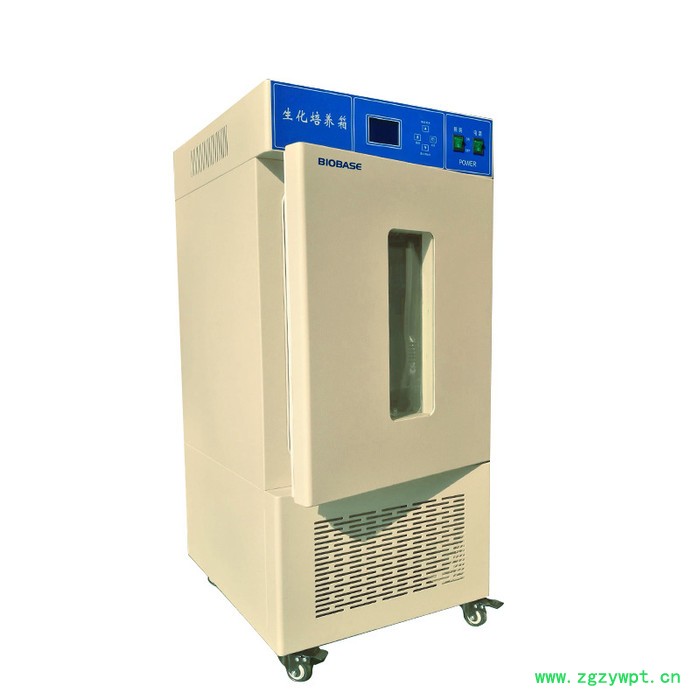 博科SPX-250实验室生化培养箱 数码管显示 不锈钢内胆图2