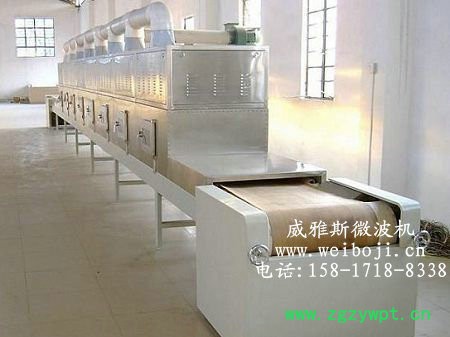 威雅斯VYS-30HM6防腐剂干燥杀菌机图3