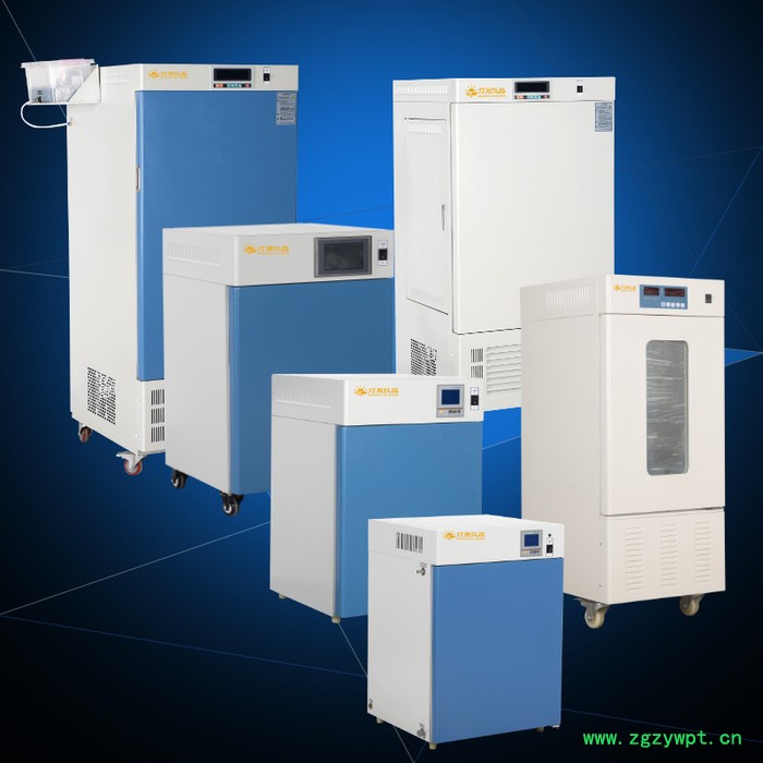 生化培养箱LRH-300P智能程序控温 上海实验室设备厂家 非标定做定制特规精密程序恒温细菌细胞霉菌培养箱图4