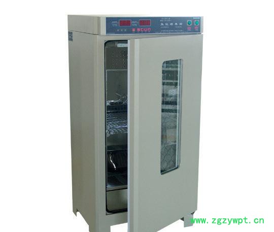 生化培养箱,霉菌培养箱,微电脑生化培养箱,微电脑培养箱,mjx-100b\图2