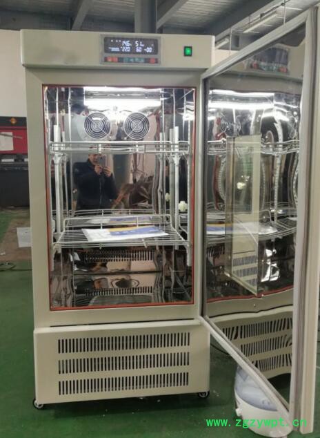 川一仪器SPX-150B 智能型生化培养箱250L实验用数显小鼠培养设备图7