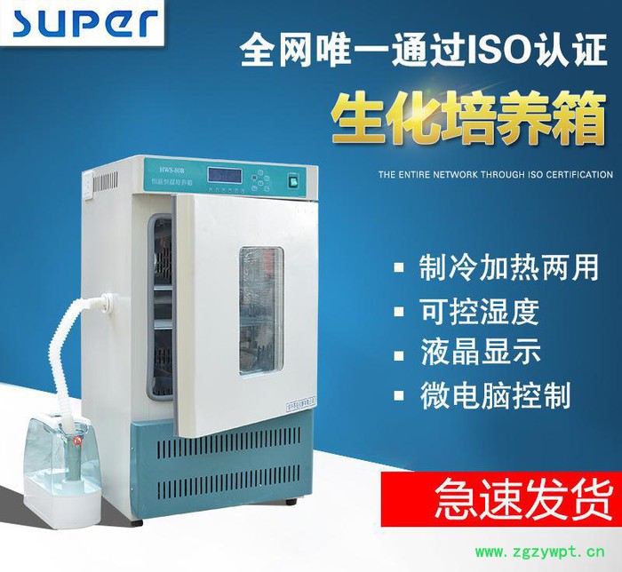 SXP250生化培养箱 BOD 细菌 微生物 低温培养箱图3