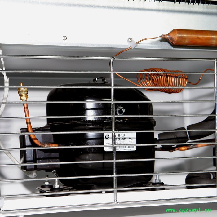 康恒仪器SPX-100S 微生物细节霉菌培养箱 生化培养箱实验室电热恒温培养箱  容量100L图3