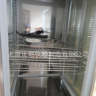 上海比朗SPX-600智能生化培养箱/实验型生化培养箱 80