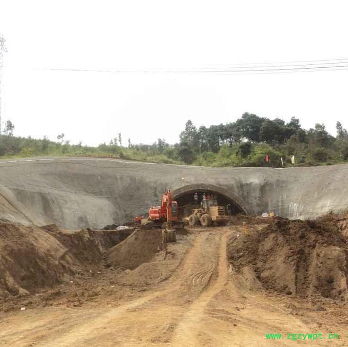 供应混凝土抗蚀增强剂厂家 CPA海港抗蚀增强剂 抗盐蚀混凝土防腐剂 混凝土抗硫酸盐侵蚀类防腐剂图4