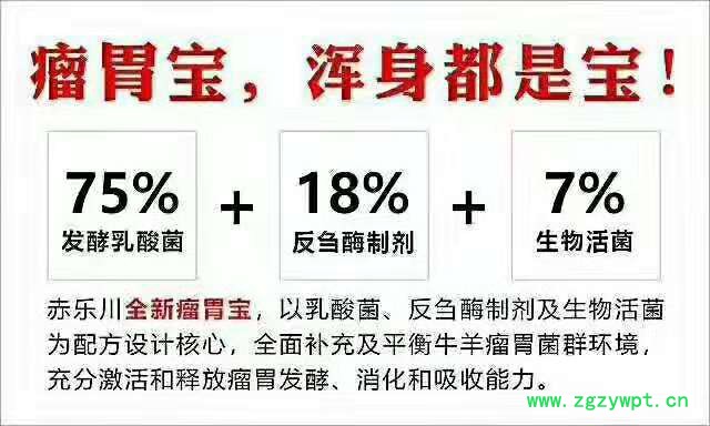 牛羊瘤胃催化剂图6