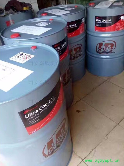 rand/英格索兰15462344 15462344英格索兰催化剂BA24，图2