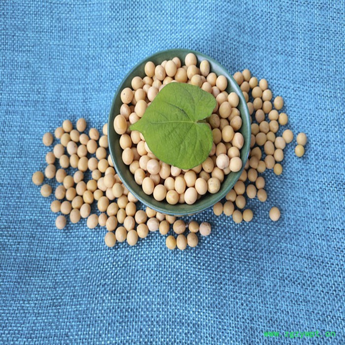 分子筛催化剂图2