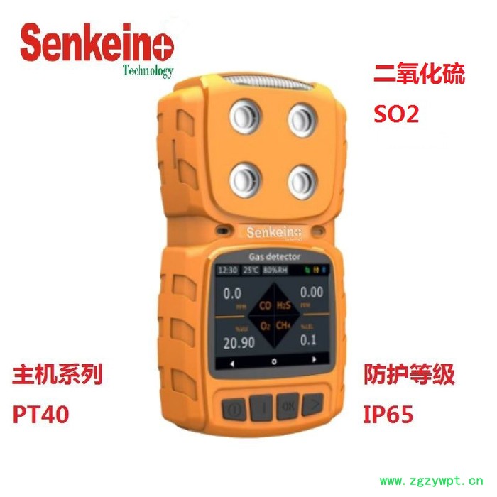森科新创 PT40-SO2手持扩散式二氧化硫气体检测仪，冷冻剂防腐剂漂白剂厂用图3