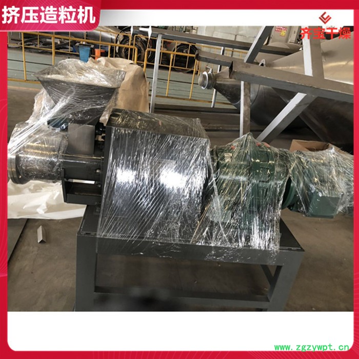 160单螺杆挤出造粒机 催化剂造粒机 挤压式制粒机 湿粉造粒机 湿法造粒机图4