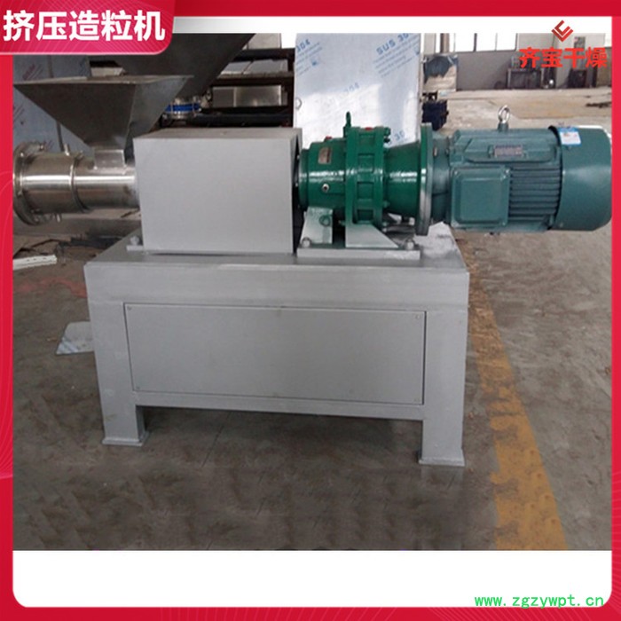 160单螺杆挤出造粒机 催化剂造粒机 挤压式制粒机 湿粉造粒机 湿法造粒机图2