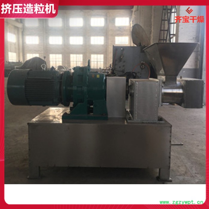 160单螺杆挤出造粒机 催化剂造粒机 挤压式制粒机 湿粉造粒机 湿法造粒机图5