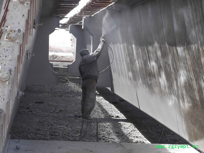 硅烷浸渍防腐剂 德昌厂供图2