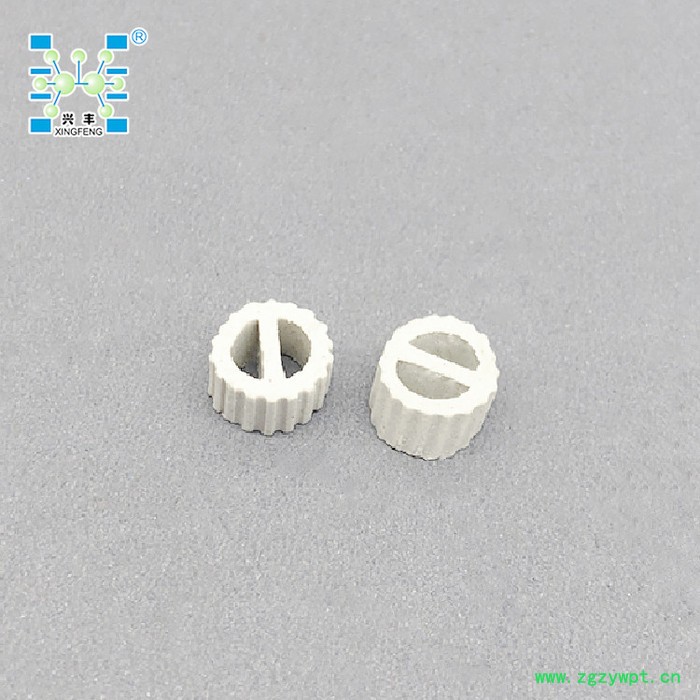 兴丰 陶瓷散堆勒辛环、催化剂载体支撑陶瓷带齿填料图2