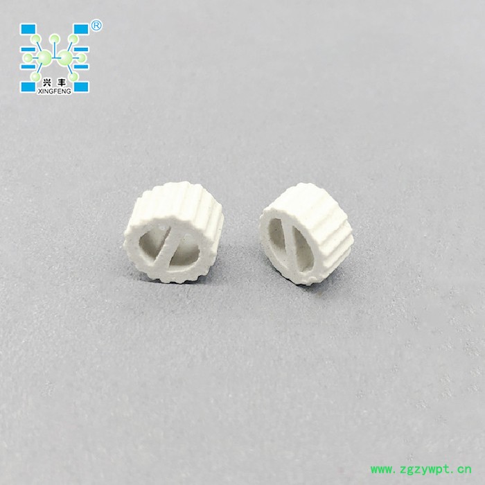 兴丰 陶瓷散堆勒辛环、催化剂载体支撑陶瓷带齿填料图4