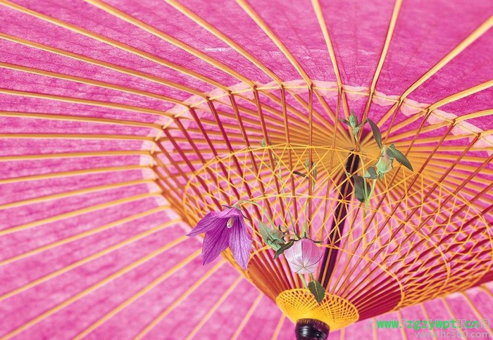 杀菌防腐剂TS图2