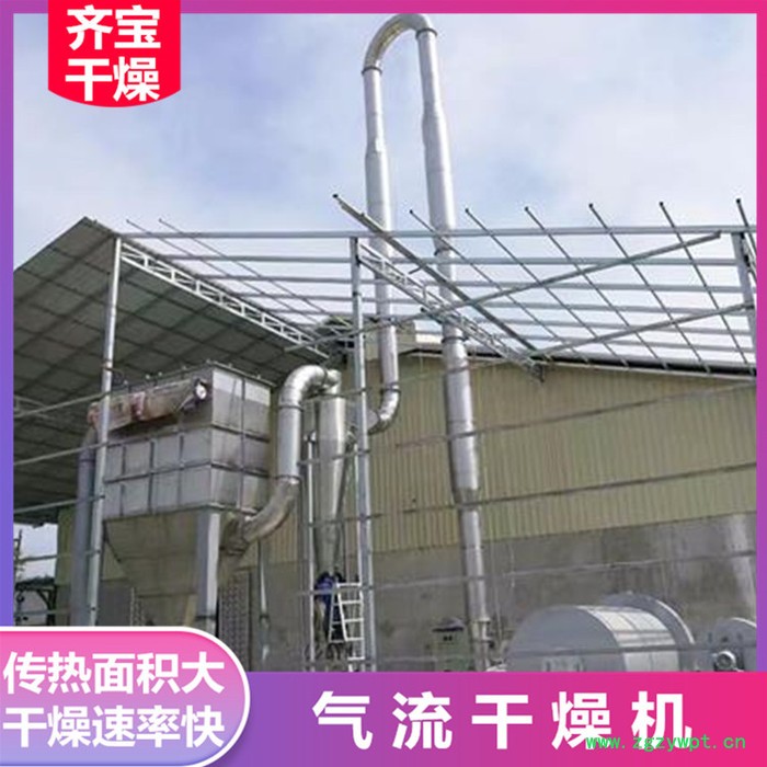 脉冲气流干燥机参数,淀粉颗粒干燥设备,活性炭气流干燥机,催化剂气流烘干机图3