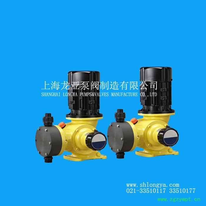 定量加药设备, GM0330硝酸定量泵，一体化加药装置图2